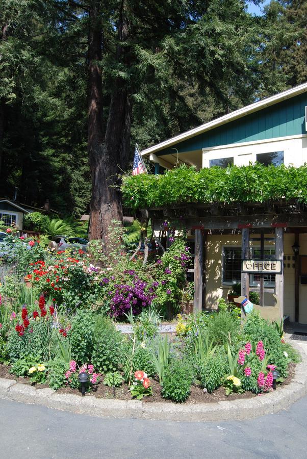 Fern Grove Cottages Guerneville Kültér fotó